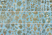 Plants & Flowers Illustrations, a Background Graphic by Nomad Visuals (Thumbnail 12 of 14)