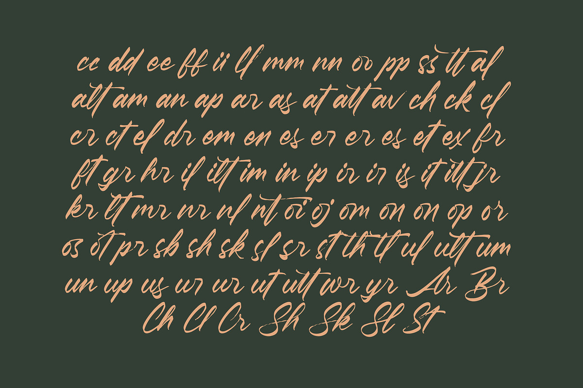 Pluretta Vintage Modern Brush Font, a Serif Font by Letterena Studios Script (Photo 18 of 20)
