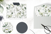 Amanda | Botanical set | 205 images, an Illustration by Karma (Thumbnail 23 of 27)