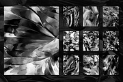 Flow Bundle—300 fluid paint textures, a Texture Graphic by Chroma Supply (Thumbnail 27 of 34)