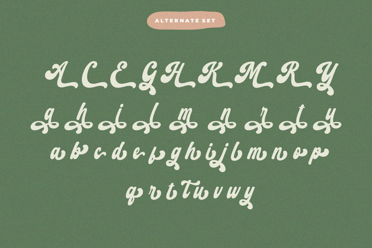 Retro Harmony Font, a Script Font by HansCo Studio (Photo 10 of 11)