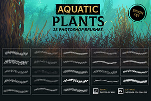 Aquatic Plants Brushes