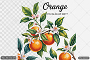 Vintage Fruit Sublimation Bundle, an Illustration by Actual Pixel (Thumbnail 9 of 11)