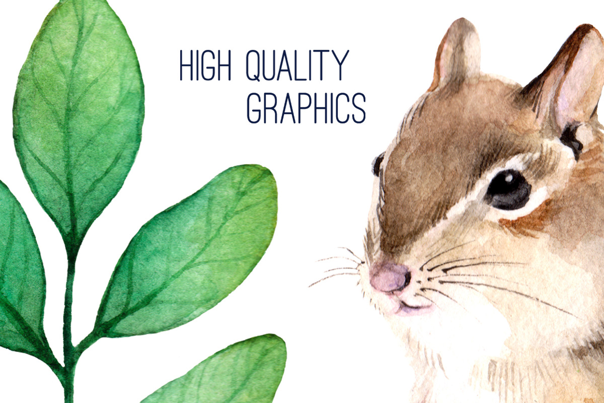Forest life Watercolor set, an Animal Illustration by Green_leaf_17 (Photo 4 of 4)