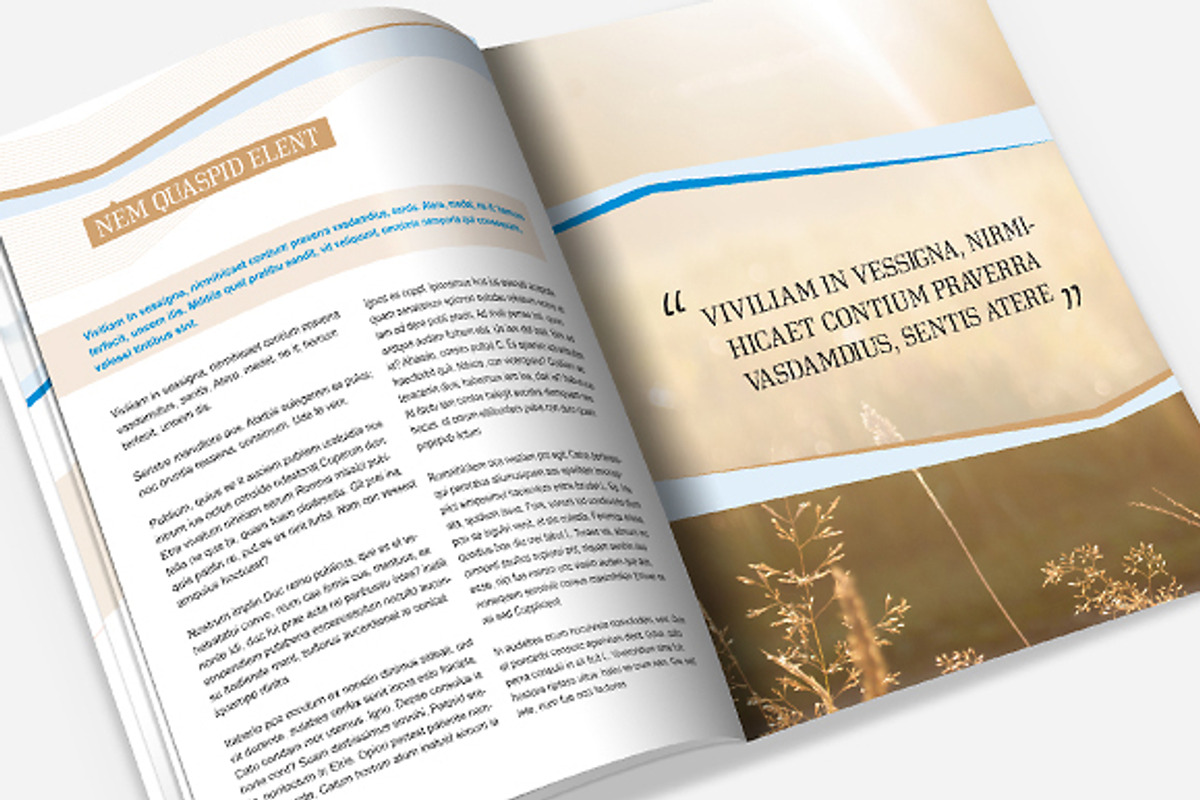 Brochure - Proposal Template, a Brochure Template by Templatepickup (Photo 5 of 5)