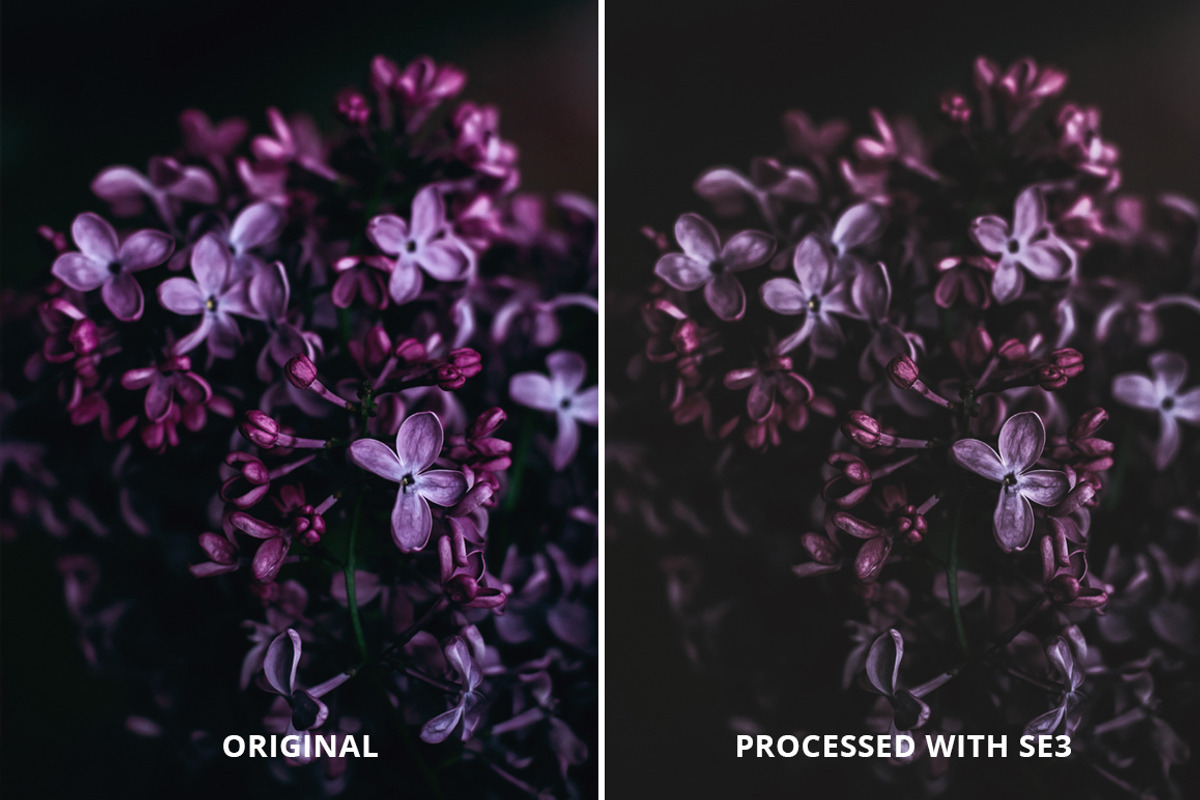 VSCOcam Inspired Lightroom presets, an Action Add-On by BeArt-Presets (Photo 9 of 17)