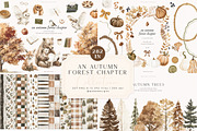 An Autumn Forest Chapter Collection, an Animal Illustration by PeDe Designs (Thumbnail 1 of 29)