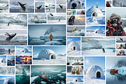 160 Arctic and Antarctic images, a Nature Photo by Handmadefont (Thumbnail 4 of 13)