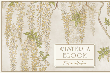 Fresco collection Wisteria bloom, a Wallpaper Graphic by Natalia0307