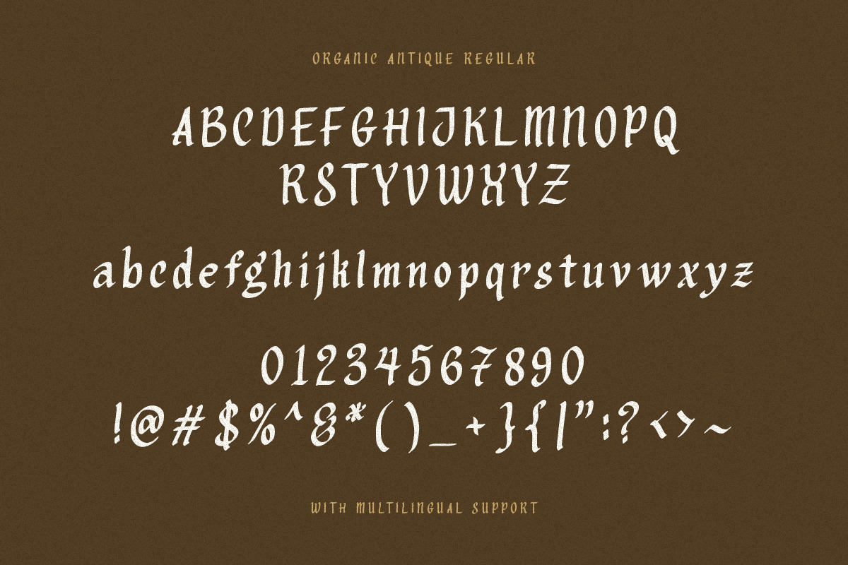 Organic Antique - Blackletter Fonts, a Blackletter Font by Sarid Ezra (Photo 9 of 10)