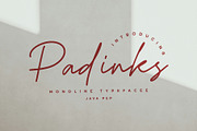 Padinks / Monoline Typeface, a Handwritten Font by Java pep (Thumbnail 1 of 16)
