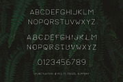 Lush Sans Font with Leaves, a Font by Beck McCormick (Thumbnail 7 of 7)