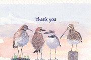Birds of North America part 4, an Animal Illustration by Art & Things (Thumbnail 6 of 6)