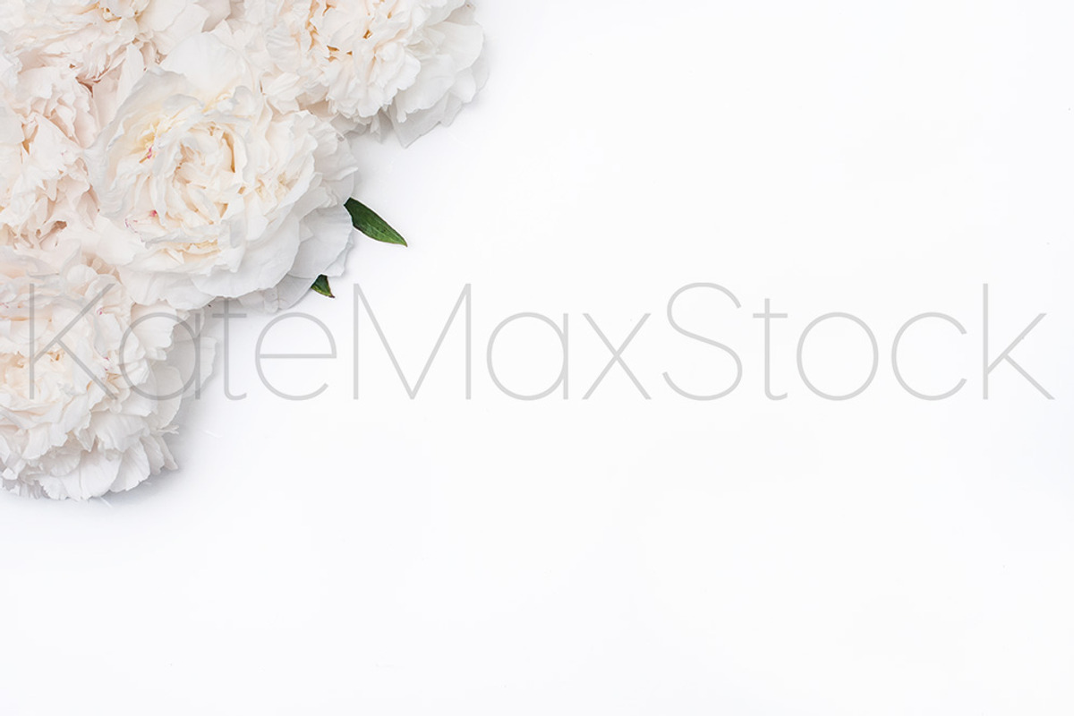 #348 KATE MAXWELL Styled Mockup, a Print Template by Styled Stock House