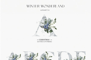 WINTER WONDERLAND: Christmas Animals