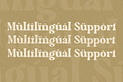 The Artisan | A Hand Drawn Font Duo, a Serif Font by Ef Studio (Thumbnail 16 of 17)