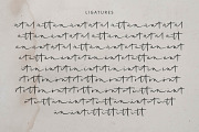 Mrs Santhi, a Script Font by Abo Daniel Studio (Thumbnail 13 of 13)