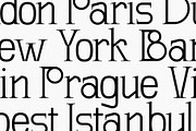 SLTF Winner Baroque - Ligature Serif, a Serif Font by SilverStag Type Foundry (Thumbnail 25 of 30)
