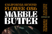 Banner, a Serif Font by Gatype (Thumbnail 3 of 11)