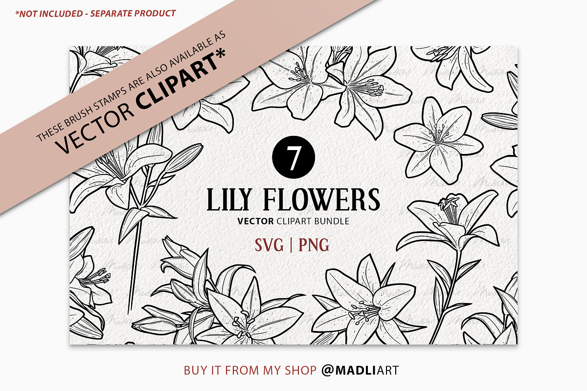 Lily Flower Procreate Brush Stamps, a Brush Add-On by MadliArt