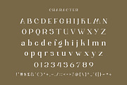 wifian Ligature Serif Typeface, a Serif Font by Humaira_std (Thumbnail 8 of 11)