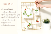 Strawberry Life Cycle Cliparts/Print, an Education Illustration by Tati Bordiu (Thumbnail 4 of 4)
