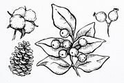 Hand Drawn Christmas Plants., a Decorative Illustration by Epine (Thumbnail 3 of 3)