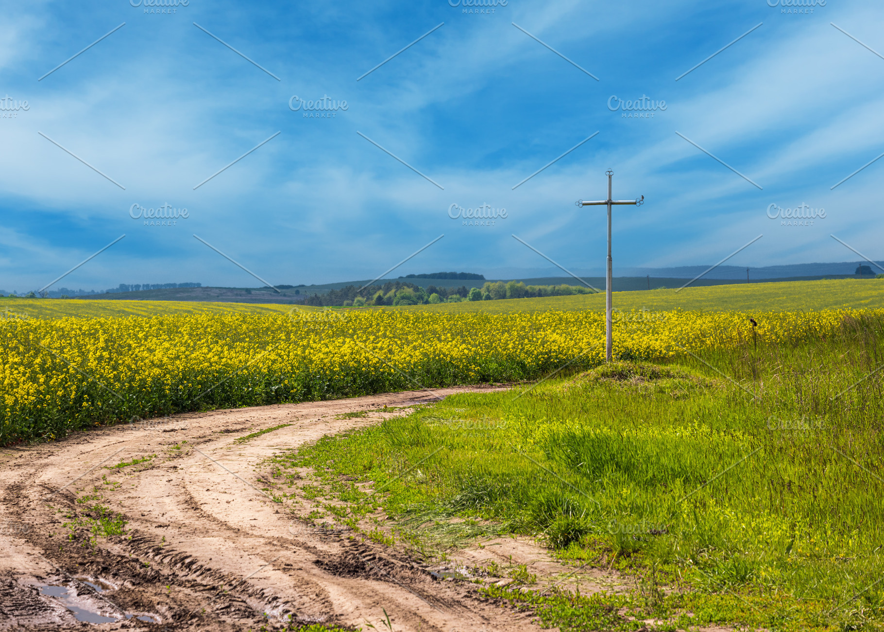 Spring rapeseed yellow blooming fields and religious cross near, a Nature Photo by YuriyB