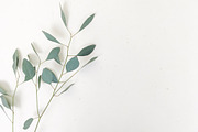 Farmhouse Floral Photo Bundle, a Photo by Hudson Lark Studio (Thumbnail 7 of 9)