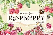 Raspberry. Watercolor Clip Art, a Food Illustration by Farida Bik (Thumbnail 1 of 11)