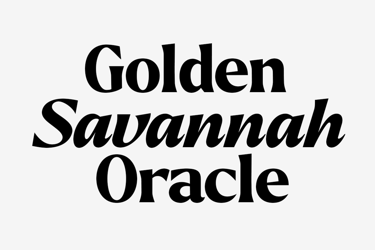 Callum Text Serif | 9 Font, a Serif Font by Positive TypeFoundry (Photo 3 of 13)