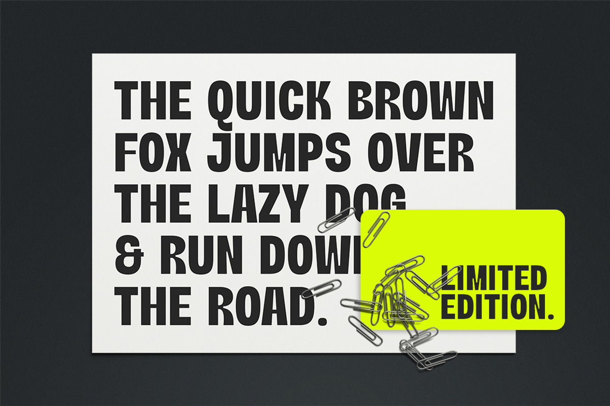 Neutralis Grotesk, a Sans Serif Font by Fargun Studio (Photo 14 of 15)