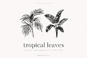 Tropical Leaves, a Decorative Illustration by PeDe Designs (Thumbnail 1 of 7)
