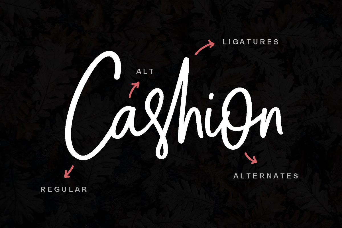 Cashion Script preview 6