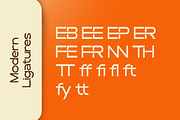 Ebrixo - Modern Sans Family Font, a Sans Serif Font by Flawless And Co (Thumbnail 9 of 10)