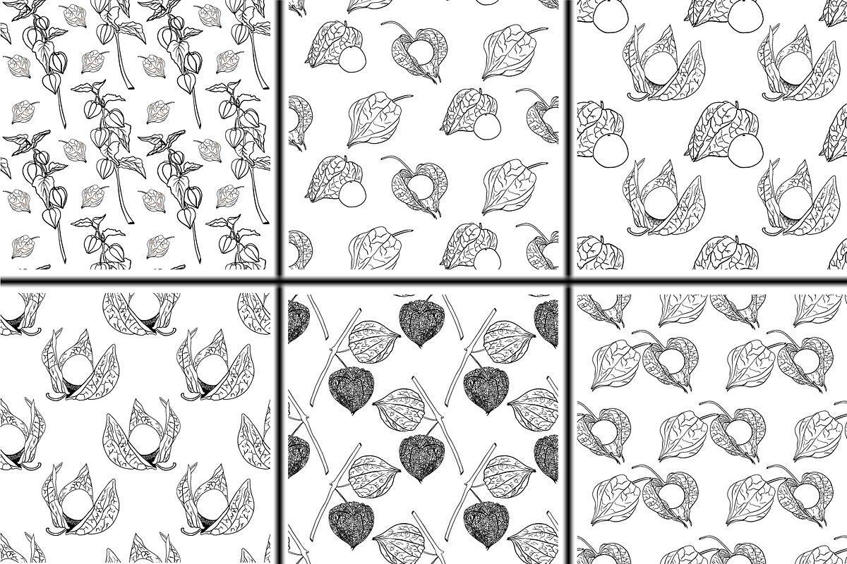 Hand drawn vector physalis.Tomatillo, a Decorative Illustration by Elena Mykhailenko (Photo 6 of 9)