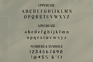 Modern Serif Font