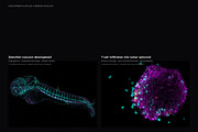 Biomedical Microscopy, a Healthcare Illustration by liravega (Thumbnail 3 of 7)