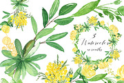 -50% Mimosa & roses flowers, an Illustration by LABFcreations (Thumbnail 2 of 8)