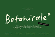 Botanicale | Handwritten Font, a Handwritten Font by type peace (Thumbnail 1 of 18)