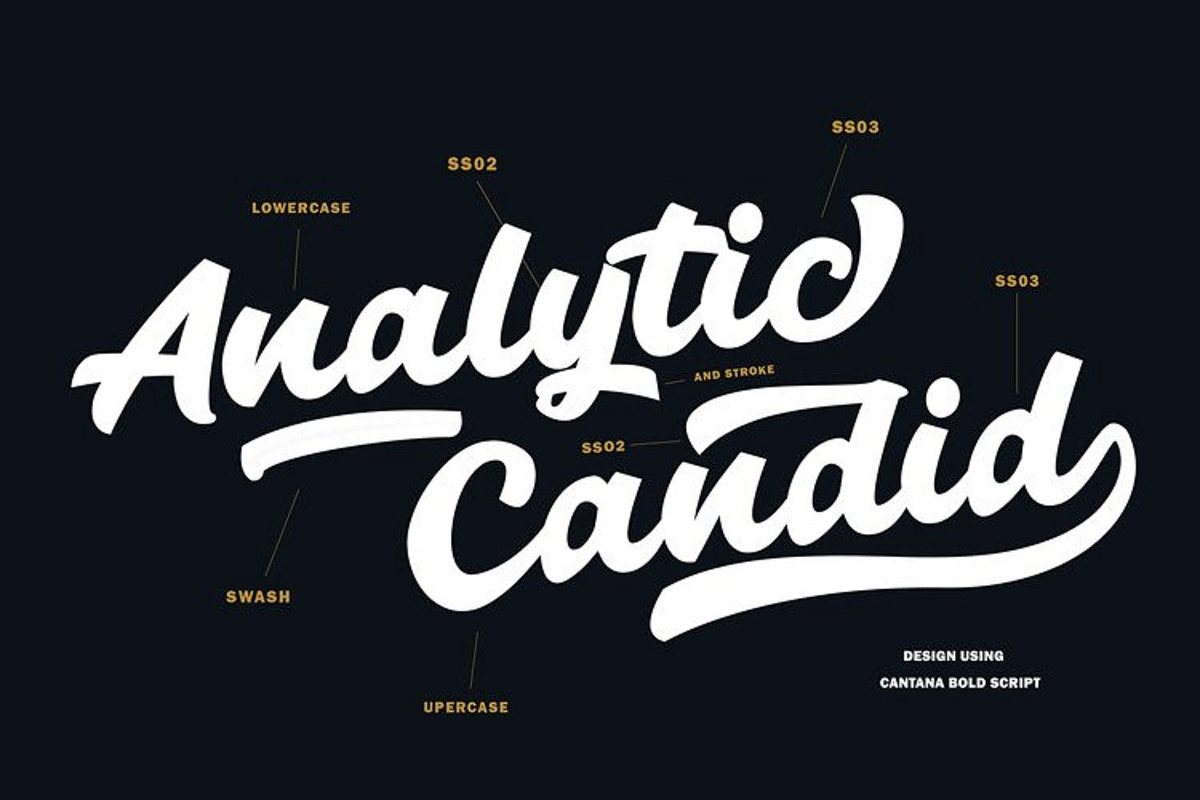 Cantana Script, a Script Font by Black Junst (Photo 6 of 9)