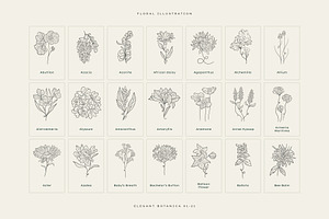 Elegant Botanica Logo Kit