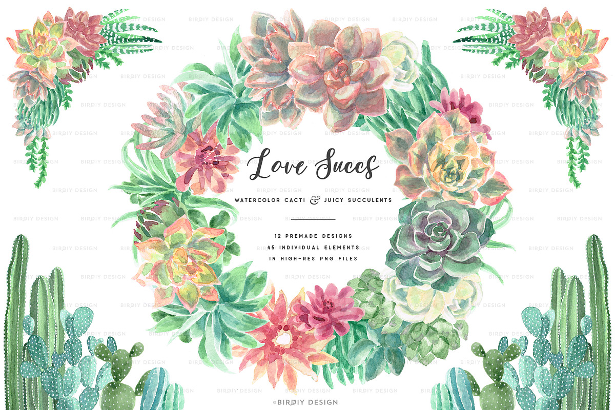 Watercolor Cactus and Succulents 2, an Illustration by BirDIY Design (Photo 1 of 3)