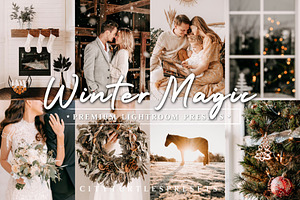 Natural Winter Magic LR Presets, an Action Add-On by CityTurtles