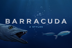 Barracuda Display - Logo Font, a Serif Font by vatesdesign