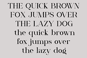 Saevul, a Serif Font by Sealoung (Thumbnail 7 of 15)