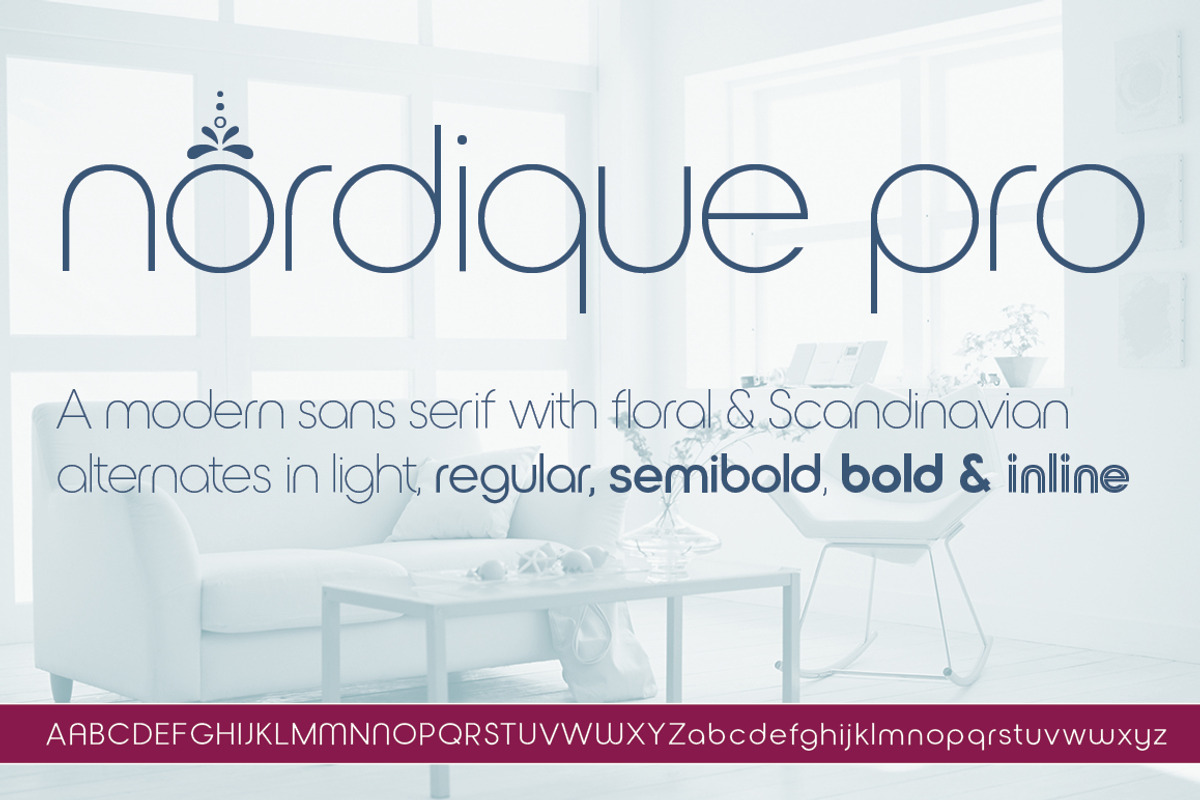 Nordique Pro Collection, a Sans Serif Font by Leksen Design (Photo 1 of 9)