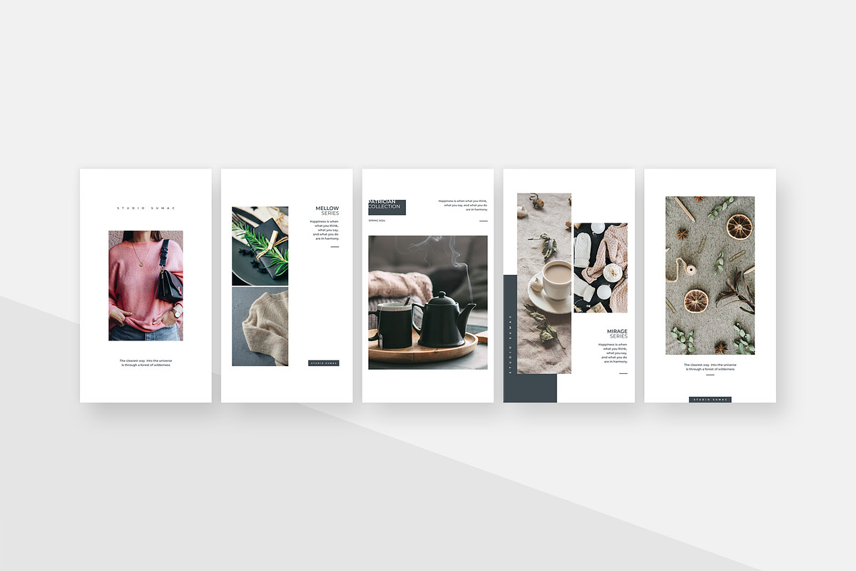 Hickory Animated Instagram Stories, a Social Media Template by Studio Sumac (Photo 5 of 6)