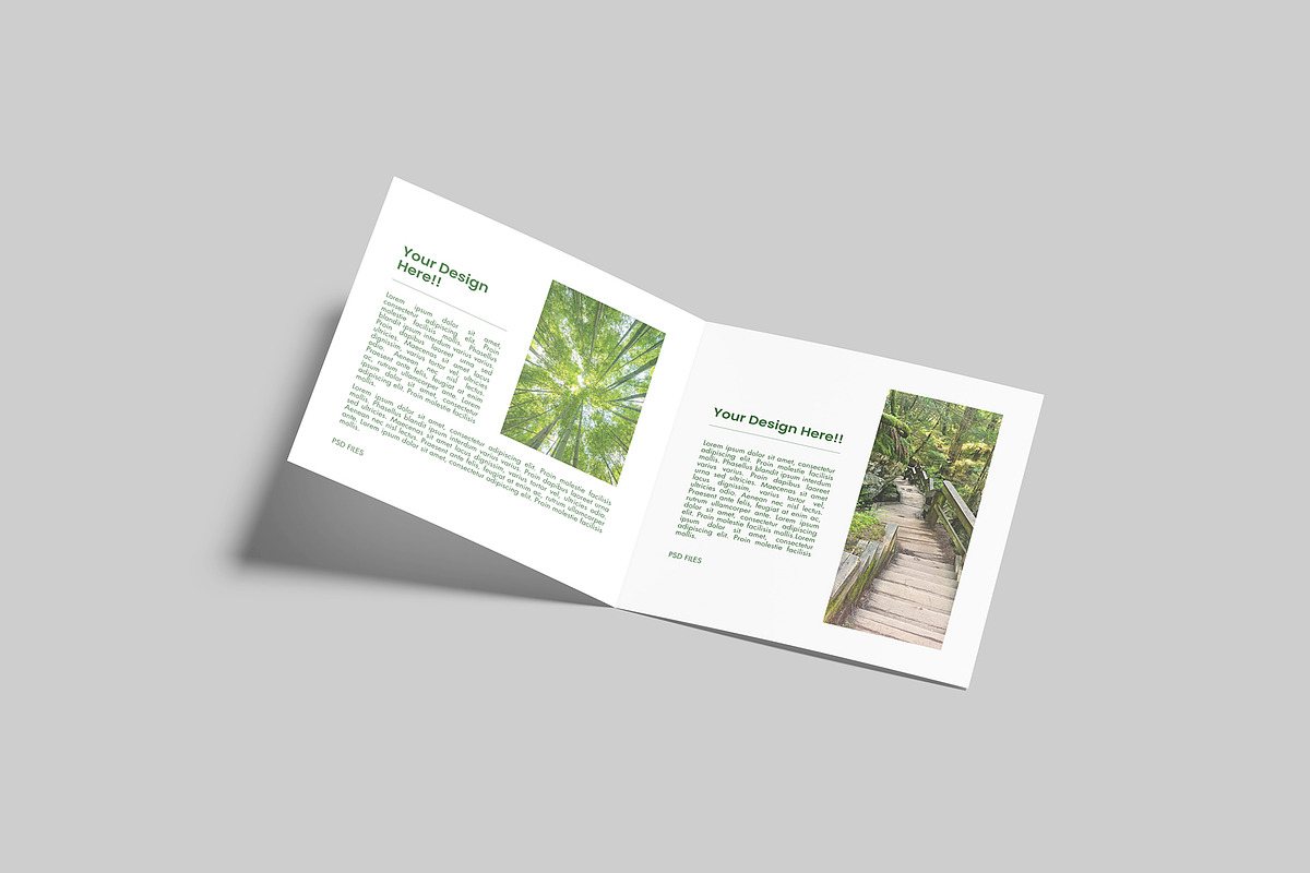 Square Bifold Brochure Mockup, a Books & Magazine Mockup by Graphiculon (Photo 7 of 11)