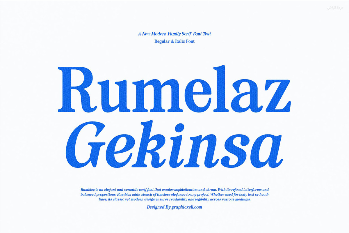 Rumelaz Gekinsa Family Serif Text, a Serif Font by Graphicxell (Photo 1 of 20)